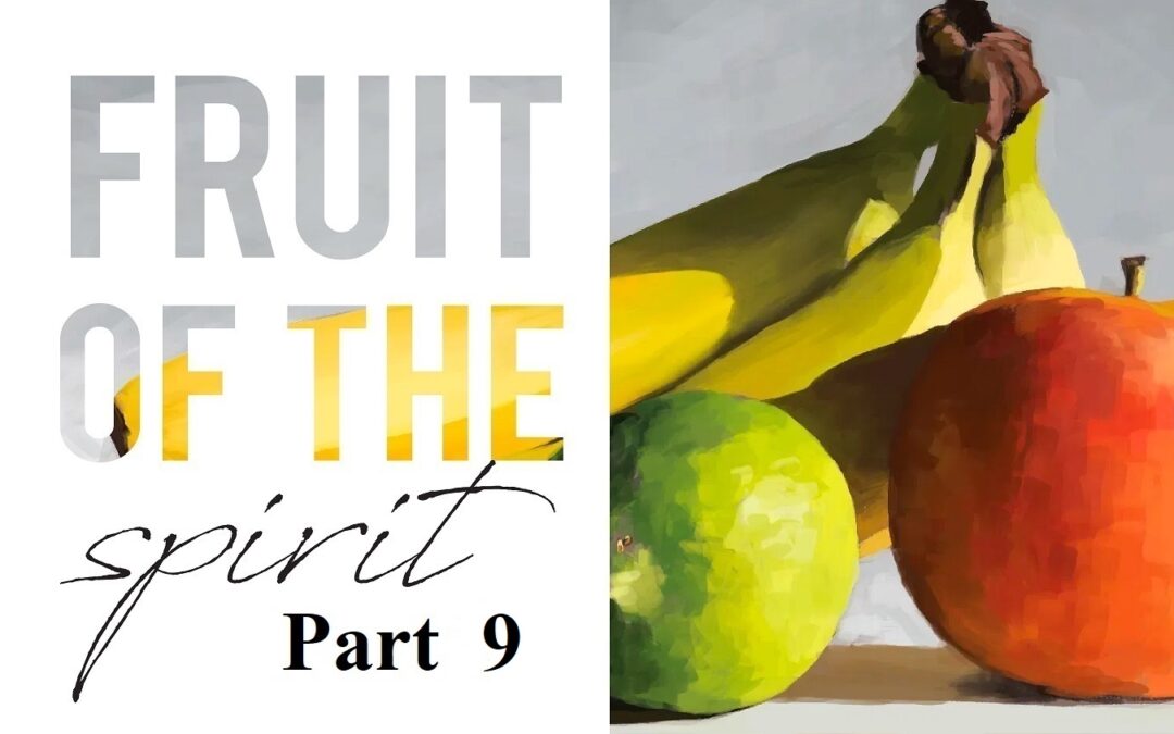 Fruit of the Spirit - Gentleness - Church Consultant