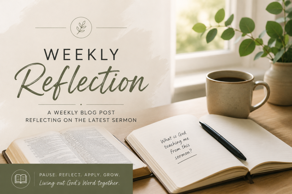 Weekly Reflection